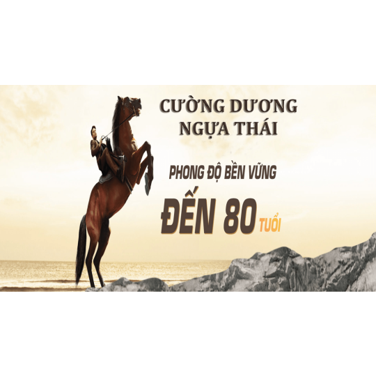 TCD Ngựa Thái 1h